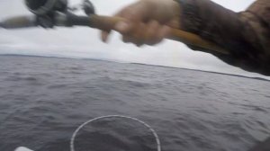 Верхнетуломское, троллинг