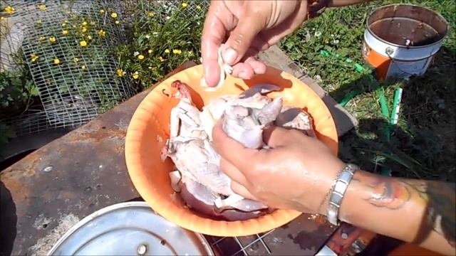 Вкусные перепела, шашлык из перепелов