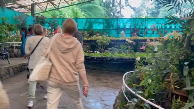 Индия . Гангток. Гималаи . 10 день  . Грабеж магазинов и обучение