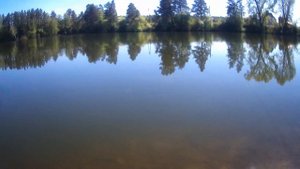 Ивановский пруд 10 мая 2020....