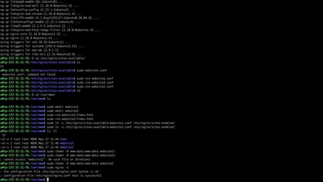 Serve Multiple Static Websites with HTTPS Using NGINX || Certbot смотреть онлайн