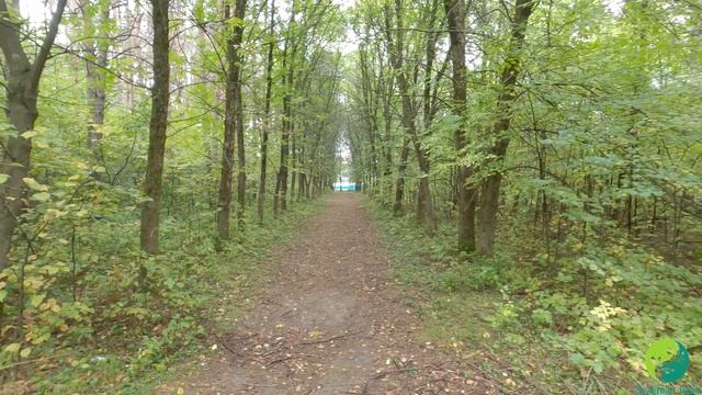 Краткая история дендросада. Павлово, Нижегородская область. смотреть онлайн