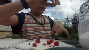Как приготовить малино-ежевичный пирог