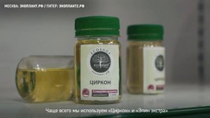 Сосна НИВАКИ СВОИМИ РУКАМИ. Формирование НИВАКИ из сосны | Бонсай