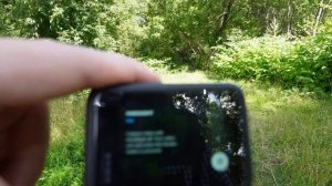 Обзор GoPro Hero 11 Black . Тесты режимов съемки. Лучшая камера для влогов?