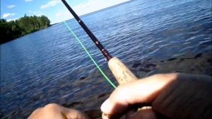 Нахлыст, хариус. Онежское озеро..