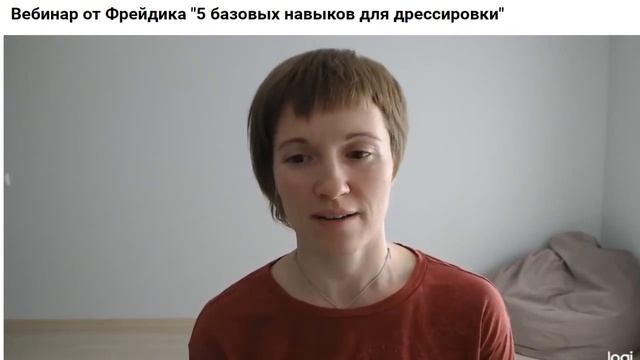 Запись вебинара "5 базовых навыков для дрессировки"