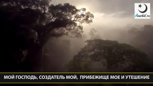 Мишари Рашид – Грустный нашид Иляхи ELAHI nasheed ᴴᴰ
