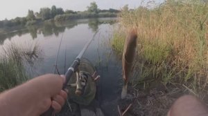 КАРАСЬ на ХАЛВУ в АВГУСТЕ!!! Рыбалка на ПОПЛАВОЧНУЮ УДОЧКУ