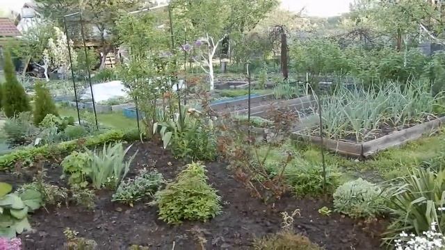 Майское утро на даче. На нашей любимой даче.Обожаю утро на даче. смотреть онлайн