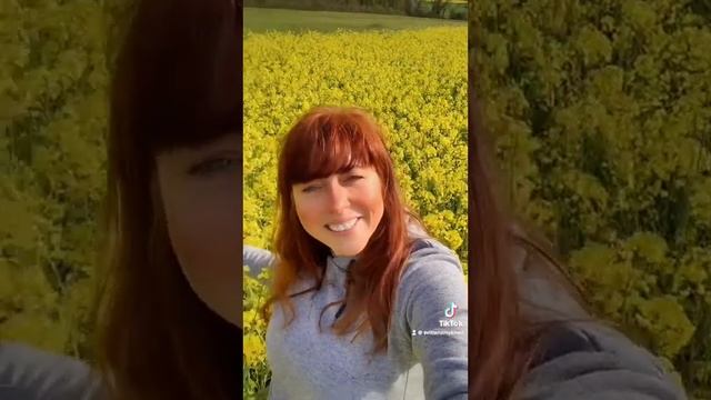 Чудо ? рапсовые поля (colza) смотреть онлайн