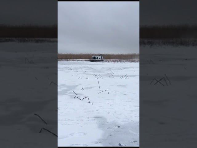 Монстр смотреть онлайн