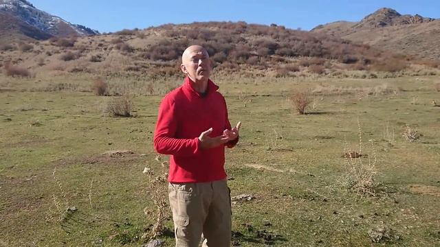 Михаэль Паскевич 44  Чакры Человека