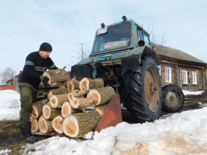 Один день в деревне! Пилю, вожу дрова на МТЗ-80!