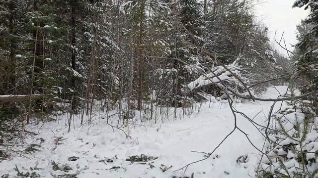 Российский снегоход буран.