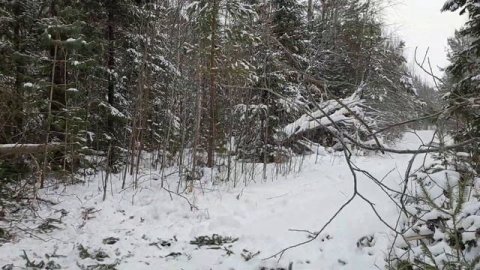 Российский снегоход буран.