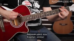 Обзор акустической гитары FLIGHT F-230C WR
