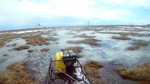 койра по болоту весна 2017