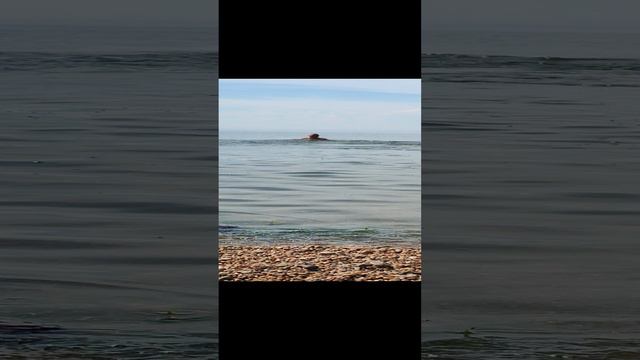 1000042245.mp4