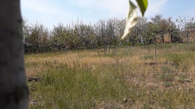 25 апреля 2020 г.Всё отлично,но есть и вредители ! смотреть онлайн