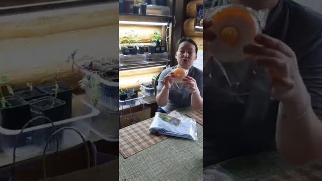 #141 Деревенский блокнот Shorts.Первый ребенок за 9 лет в нашей деревне Пополнение в семье Гуриных смотреть онлайн