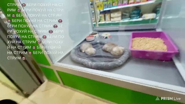 ЗАВЕРТИН: НАЧАЛО