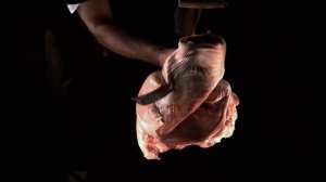 Меч катана разрубает плоть www.warpvideo.ru