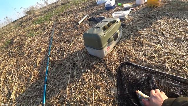 Ловля Вимбы на Фидер в Апреле 2019. Латвия. Река Лиелупе. смотреть онлайн