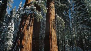 фото-пейзажи