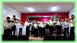 Е. ДОГА  "СЫРБА"  Образцовый  ансамбль "Виолино"  ДМШ  № 13