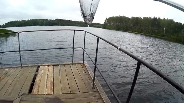 Лещ на фидер. Ловля леща. Рыбалка на леща. Рыбалка в Ленинградской области. Фидер. Рыбалка.