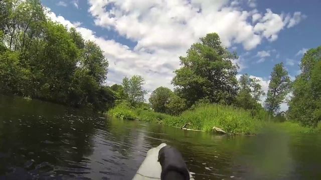 Cплав Гороховка 2015 смотреть онлайн