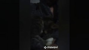 я не мелкий я не дрыщ