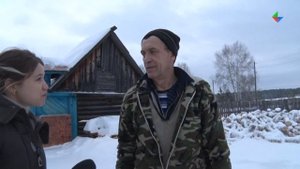 Есть ли волки на Журавлике? Угрожают ли лесничанам дикие звери? волки