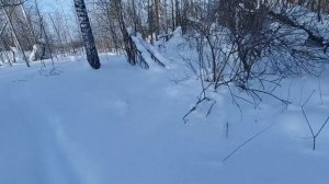проверка петель на зайца и установка капкана.
