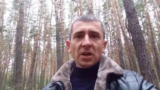 как правильно купить пчёл осенью/пчеловодство-bee смотреть онлайн