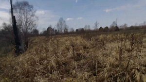 Отпуск в дикой тайге Часть1. Грязь. Рыбалка. Быт в лесу.