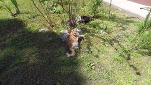 Поездка в Сочи #6 (пансионат ИЗУМРУД, лестница,прогулка по территории пансионата)