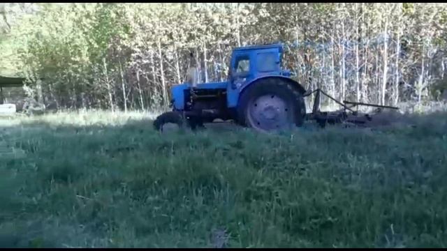 Посев полей в лесу для кабана и медведя. Биотехния 2019 смотреть онлайн