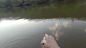 Первая ловля на сети в 2022 году.mp4