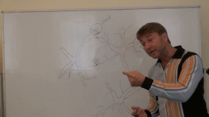 Остановка внутреннего диалога | Сергей Змеев