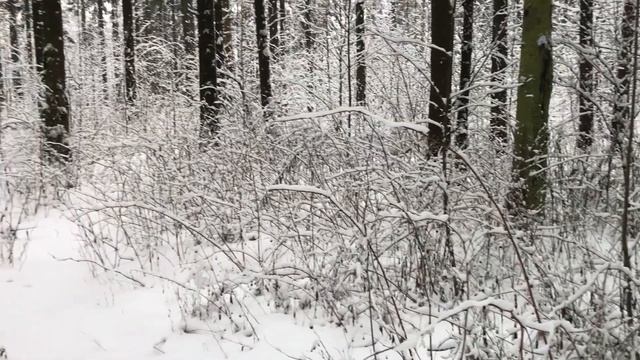 УСТРОИЛА РОМАНТИЧЕСКИЙ ВЕЧЕР, НЕ СМОГ СЕБЯ СДЕРЖАТЬ. Интересные жизненные истории и аудио рассказы.