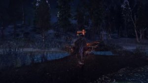 Swamps near Solitude, spiders, rain and wet shaders for enb