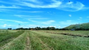 грабли ГКП  Харвест