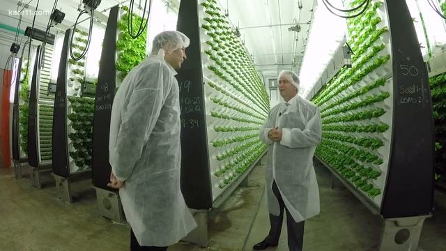 Living Greens Farm  - Kare 11 feature video