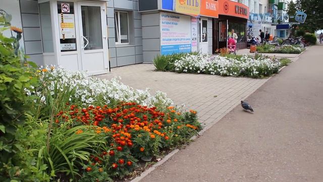 Цветущий город. Белебей