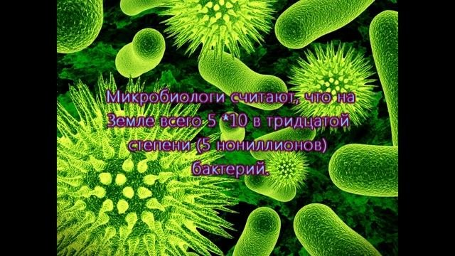 Интересные факты о бактериях