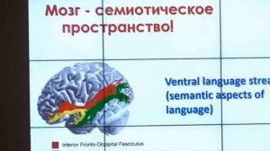 Изучение мозга в XXI веке, к чему ведет равнодушие ДО КОНЦА Татьяна Черниговская