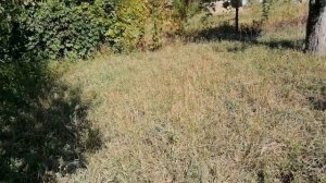 Как быстро продать участок: как показать преимущества