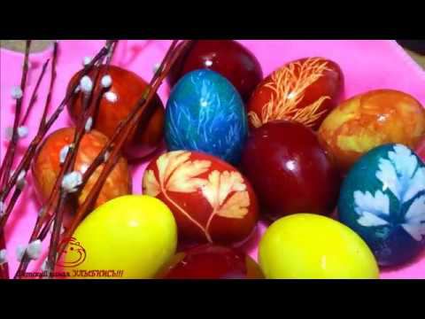 Пасхальные яйца | Красим яйца к пасхе БЕЗ ХИМИИ натуральными пищевыми красителями смотреть онлайн